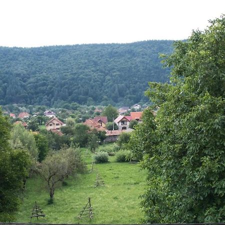 Pensiunea Floricel Stoeneşti Kültér fotó