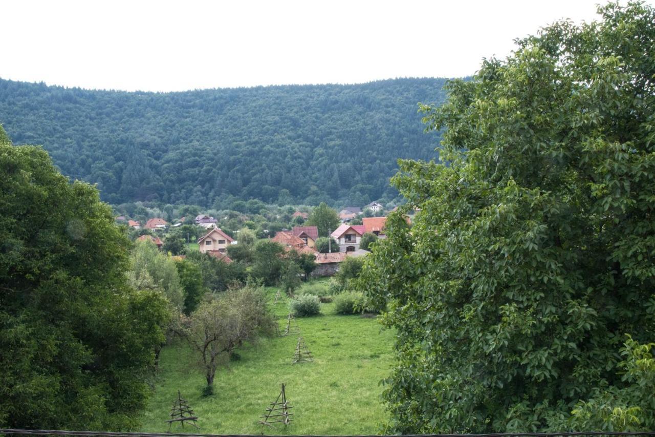 Pensiunea Floricel Stoeneşti Kültér fotó