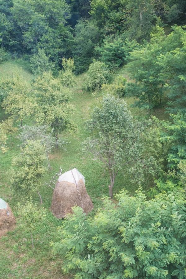 Pensiunea Floricel Stoeneşti Kültér fotó